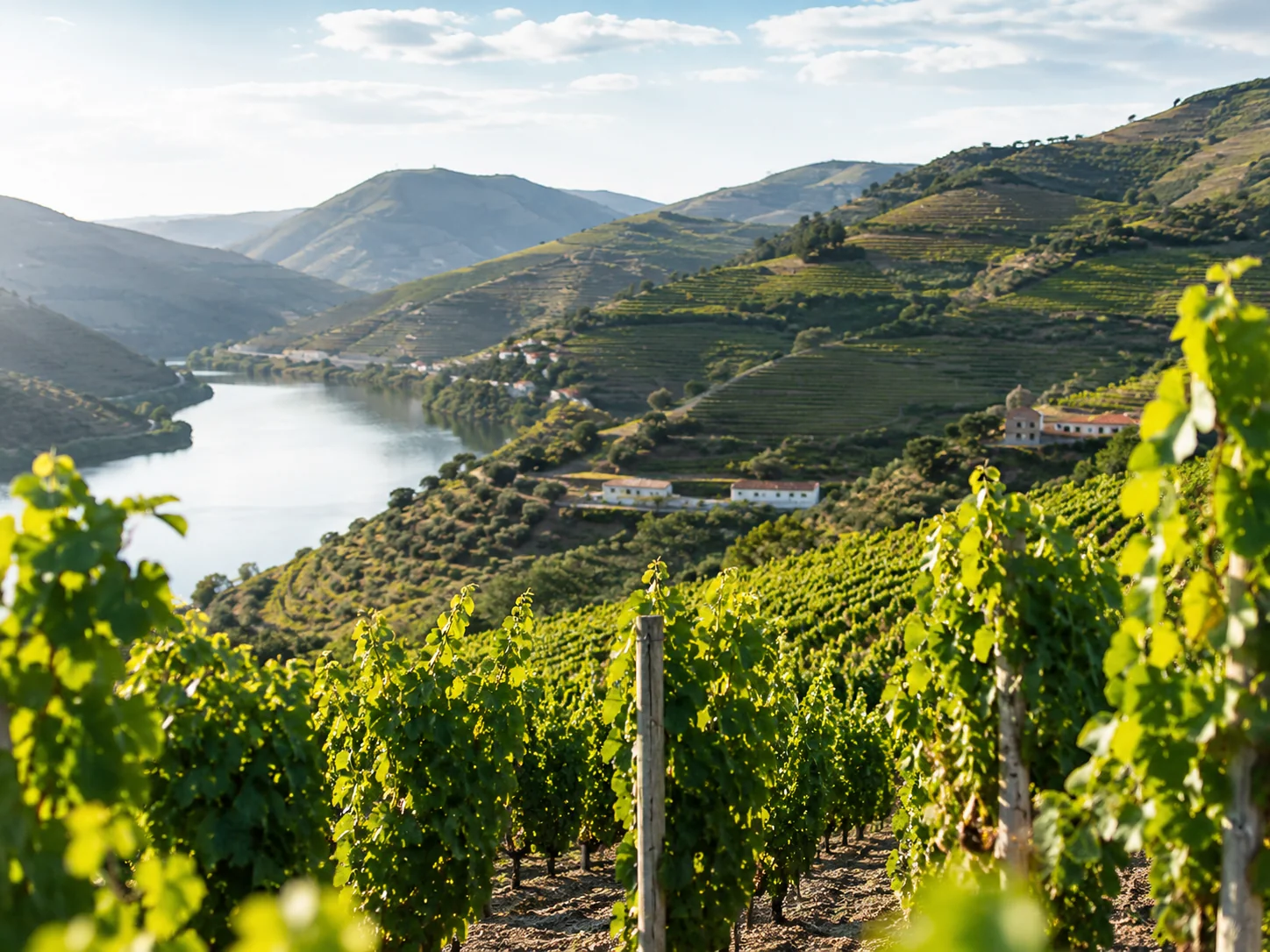 05-paisagem-douro-vinhedos