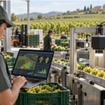 Webinar “AI Insights for Agro: Aplicações práticas de Inteligência Artificial”